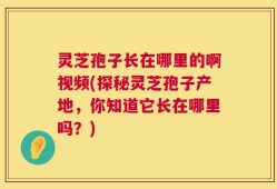 灵芝孢子长在哪里的啊视频(探秘灵芝孢子产地，你知道它长在哪里吗？)