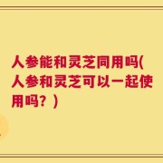 人参能和灵芝同用吗(人参和灵芝可以一起使用吗？)