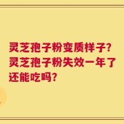 灵芝孢子粉变质样子？灵芝孢子粉失效一年了还能吃吗？