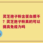 灵芝孢子粉含蛋白质不？灵芝孢子粉真的可以提高免疫力吗