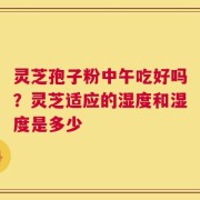 灵芝孢子粉中午吃好吗？灵芝适应的湿度和湿度是多少
