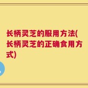 长柄灵芝的服用方法(长柄灵芝的正确食用方式)