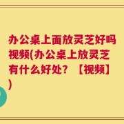 办公桌上面放灵芝好吗视频(办公桌上放灵芝有什么好处？【视频】)