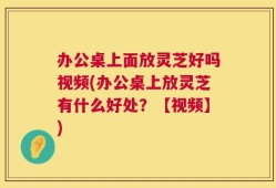 办公桌上面放灵芝好吗视频(办公桌上放灵芝有什么好处？【视频】)