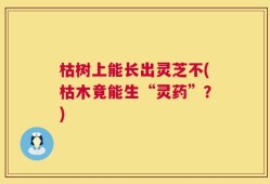 枯树上能长出灵芝不(枯木竟能生“灵药”？)