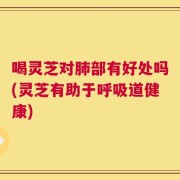 喝灵芝对肺部有好处吗(灵芝有助于呼吸道健康)