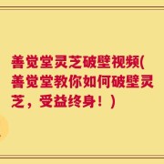 善觉堂灵芝破壁视频(善觉堂教你如何破壁灵芝，受益终身！)