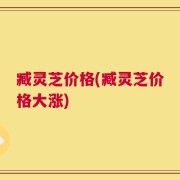 臧灵芝价格(臧灵芝价格大涨)