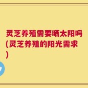 灵芝养殖需要晒太阳吗(灵芝养殖的阳光需求)