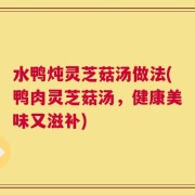 水鸭炖灵芝菇汤做法(鸭肉灵芝菇汤，健康美味又滋补)