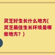 灵芝好生长什么地方(灵芝最佳生长环境是哪些地方？)
