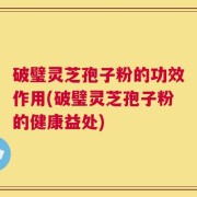 破璧灵芝孢子粉的功效作用(破璧灵芝孢子粉的健康益处)
