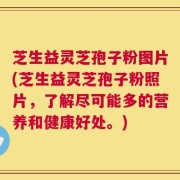 芝生益灵芝孢子粉图片(芝生益灵芝孢子粉照片，了解尽可能多的营养和健康好处。)