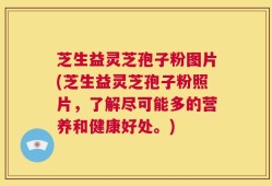 芝生益灵芝孢子粉图片(芝生益灵芝孢子粉照片，了解尽可能多的营养和健康好处。)
