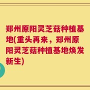 郑州原阳灵芝菇种植基地(重头再来，郑州原阳灵芝菇种植基地焕发新生)