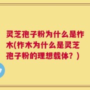 灵芝孢子粉为什么是柞木(柞木为什么是灵芝孢子粉的理想载体？)