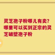 灵芝孢子粉哪儿有卖？哪里可以买到正宗的灵芝破壁孢子粉