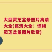 大型灵芝盆景照片高清大全(高清大全：惊艳灵芝盆景图片欣赏)