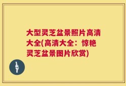 大型灵芝盆景照片高清大全(高清大全：惊艳灵芝盆景图片欣赏)