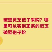 破壁灵芝孢子采购？哪里可以买到正宗的灵芝破壁孢子粉