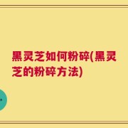 黑灵芝如何粉碎(黑灵芝的粉碎方法)