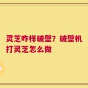 灵芝咋样破壁？破壁机打灵芝怎么做