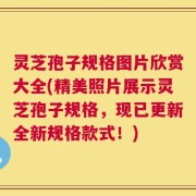 灵芝孢子规格图片欣赏大全(精美照片展示灵芝孢子规格，现已更新全新规格款式！)