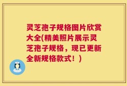 灵芝孢子规格图片欣赏大全(精美照片展示灵芝孢子规格，现已更新全新规格款式！)