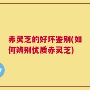 赤灵芝的好坏鉴别(如何辨别优质赤灵芝)