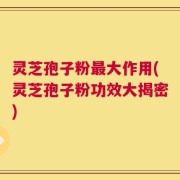 灵芝孢子粉最大作用(灵芝孢子粉功效大揭密)