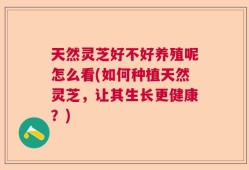 天然灵芝好不好养殖呢怎么看(如何种植天然灵芝，让其生长更健康？)