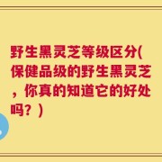 野生黑灵芝等级区分(保健品级的野生黑灵芝，你真的知道它的好处吗？)