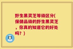 野生黑灵芝等级区分(保健品级的野生黑灵芝，你真的知道它的好处吗？)