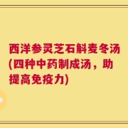 西洋参灵芝石斛麦冬汤(四种中药制成汤，助提高免疫力)