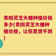 贵阳灵芝大棚种植价格多少(贵阳灵芝大棚种植价格，让你意想不到)