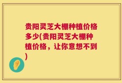贵阳灵芝大棚种植价格多少(贵阳灵芝大棚种植价格，让你意想不到)