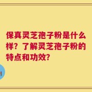 保真灵芝孢子粉是什么样？了解灵芝孢子粉的特点和功效？