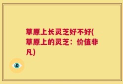 草原上长灵芝好不好(草原上的灵芝：价值非凡)
