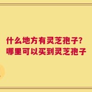 什么地方有灵芝孢子？哪里可以买到灵芝孢子