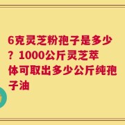 6克灵芝粉孢子是多少？1000公斤灵芝萃体可取出多少公斤纯孢子油