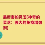 最厉害的灵芝(神奇的灵芝：强大的免疫增强剂)