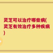 灵芝可以治疗哪些病(灵芝有效治疗多种疾病)