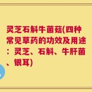 灵芝石斛牛菌菇(四种常见草药的功效及用途：灵芝、石斛、牛肝菌、银耳)