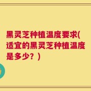 黑灵芝种植温度要求(适宜的黑灵芝种植温度是多少？)