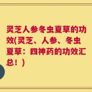 灵芝人参冬虫夏草的功效(灵芝、人参、冬虫夏草：四神药的功效汇总！)