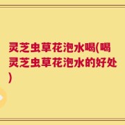 灵芝虫草花泡水喝(喝灵芝虫草花泡水的好处)