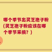 哪个季节出灵芝孢子粉(灵芝孢子粉应该在哪个季节采摘？)