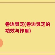 卷边灵芝(卷边灵芝的功效与作用)