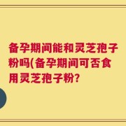 备孕期间能和灵芝孢子粉吗(备孕期间可否食用灵芝孢子粉？