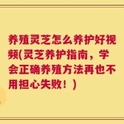 养殖灵芝怎么养护好视频(灵芝养护指南，学会正确养殖方法再也不用担心失败！)
